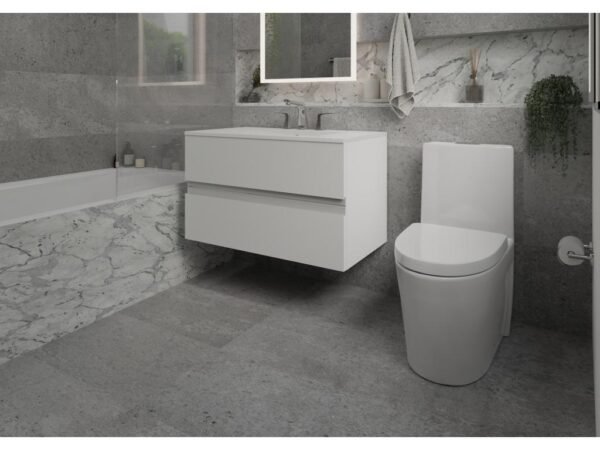 Form One-Piece Toilet