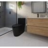 Flow One Piece Rimless Toilet