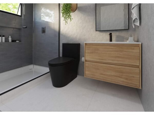 Flow One Piece Rimless Toilet