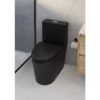 Flow One Piece Rimless Toilet
