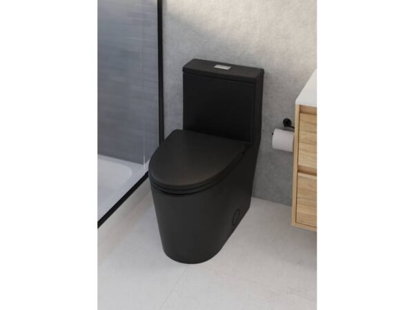 Flow One Piece Rimless Toilet