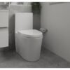 Form One-Piece Toilet