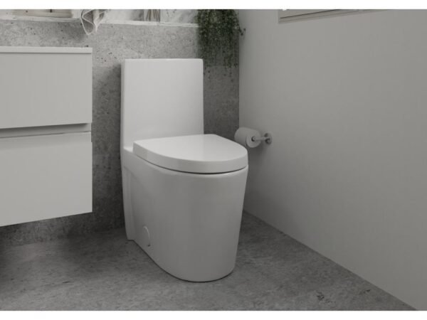 Form One-Piece Toilet